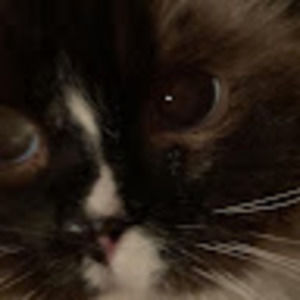 Meet your Posher, Elton